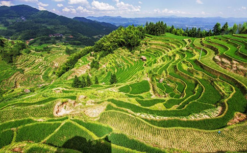 常識(shí)積累：中國三大丘陵